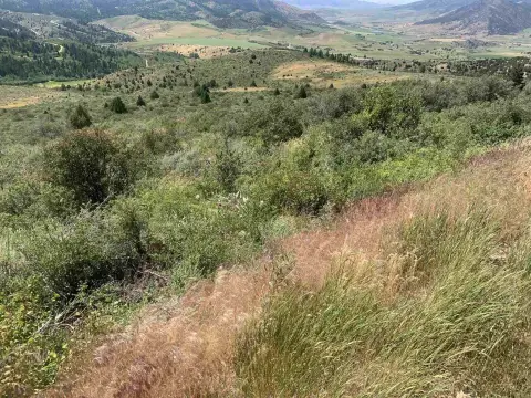 Thunder Mountain Ranch Land