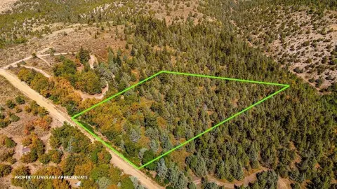 Scenic Wooded Land Near Lava