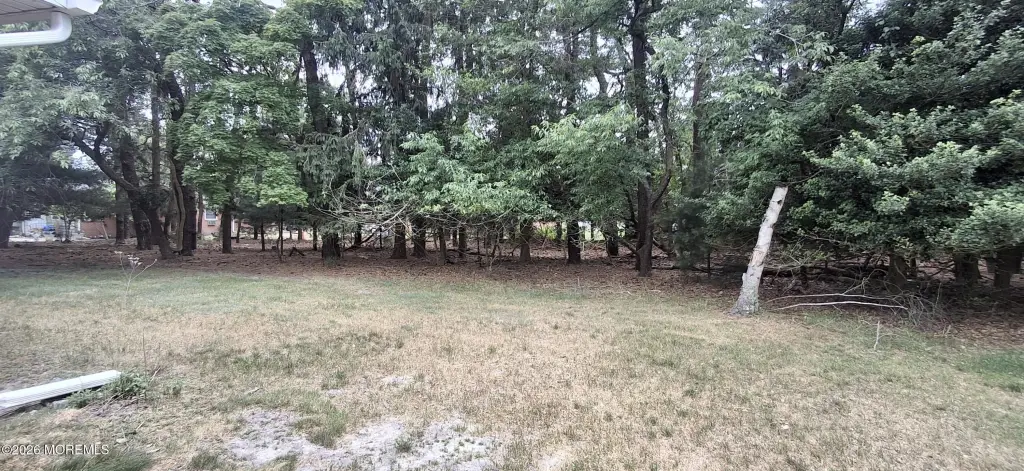 Picture 19