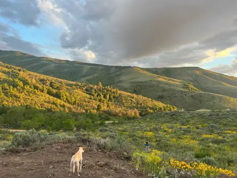 Pocatello Land with Stunning Views