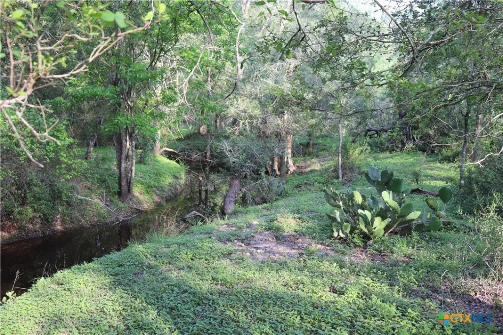 Picture 25