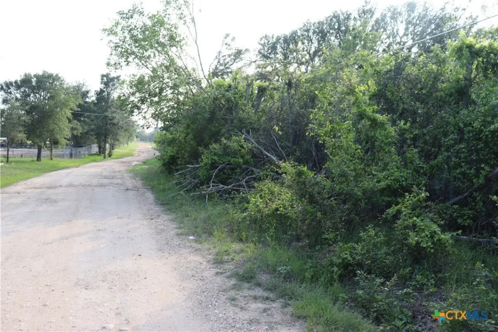 Picture 2