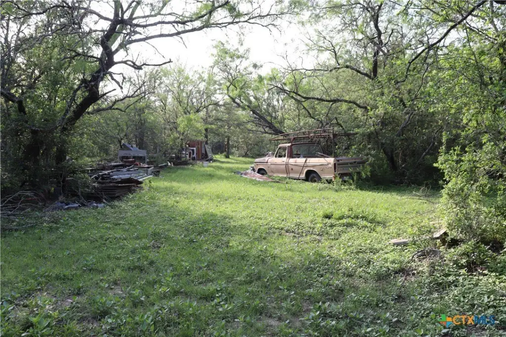 Picture 11