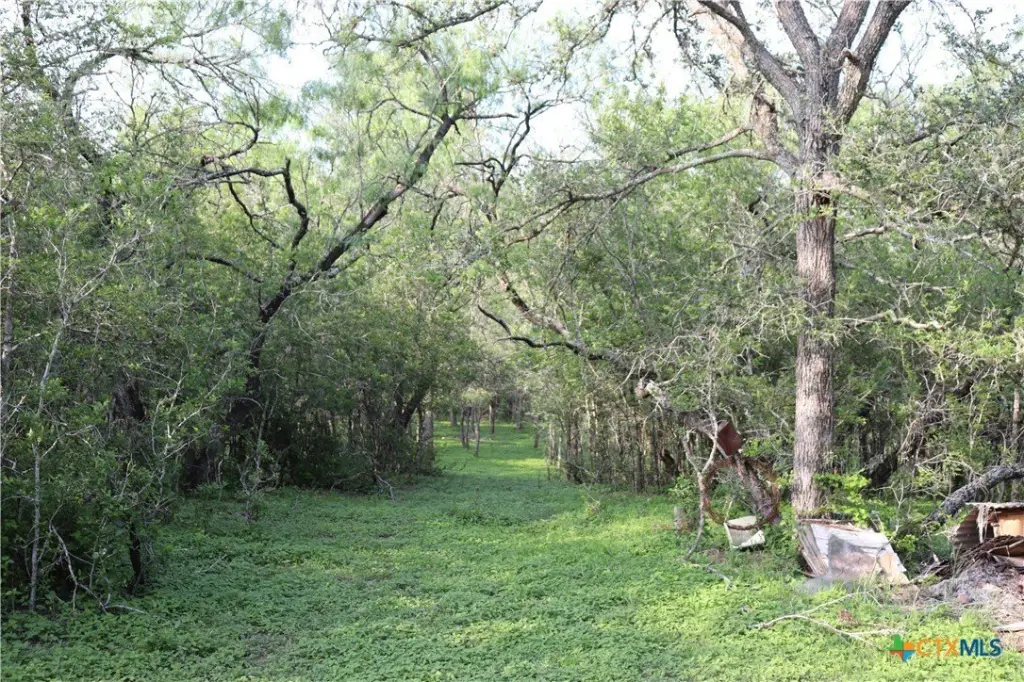 Picture 13