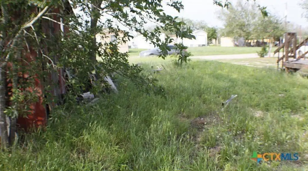 Picture 6