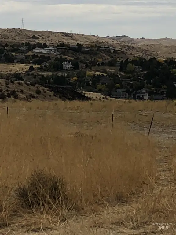 Picture 19