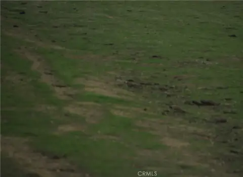 Lost Hills Agricultural Land Parcel