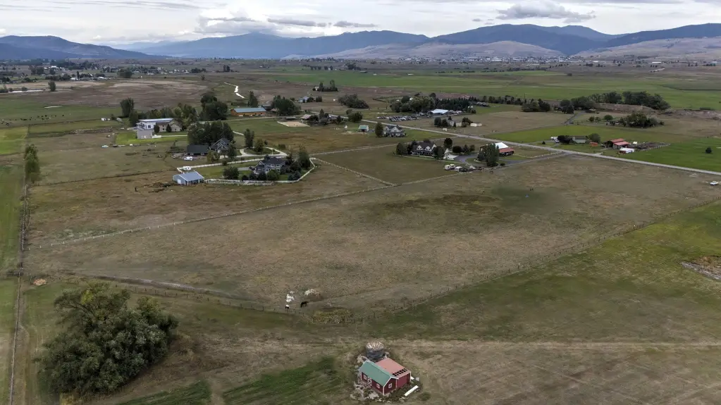 Picture 21