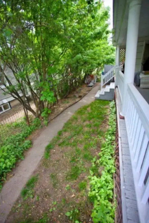 Picture 5