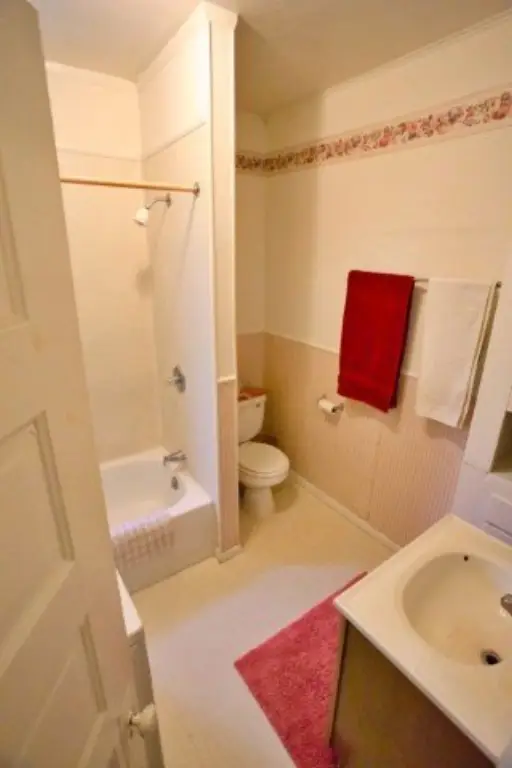 Picture 19