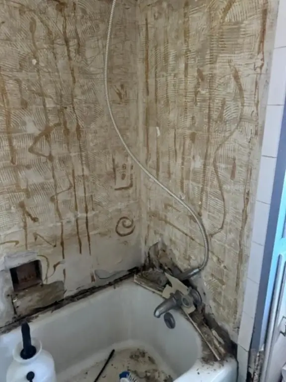 Picture 21