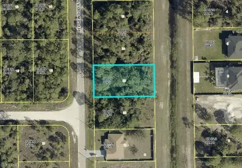 Residential Land in Lehigh Acres