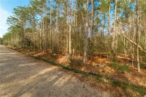 Land Near Downtown Covington