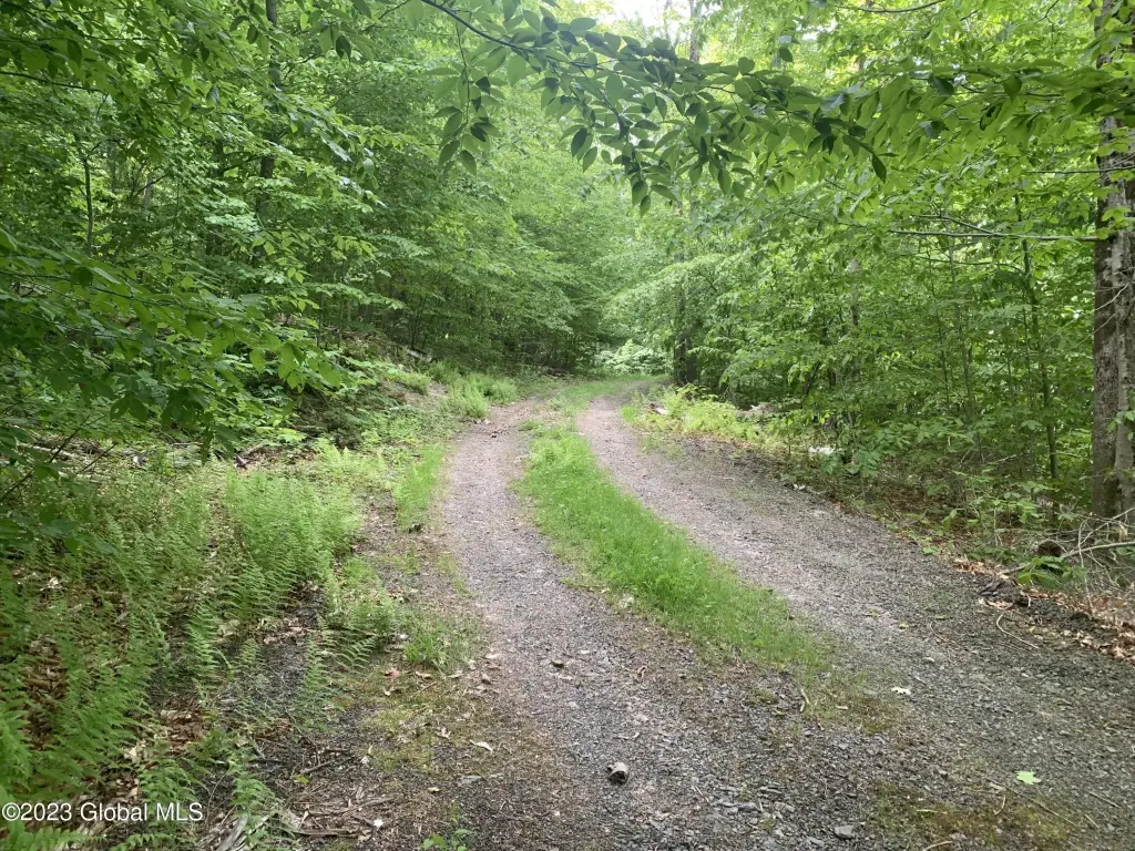 Picture 2