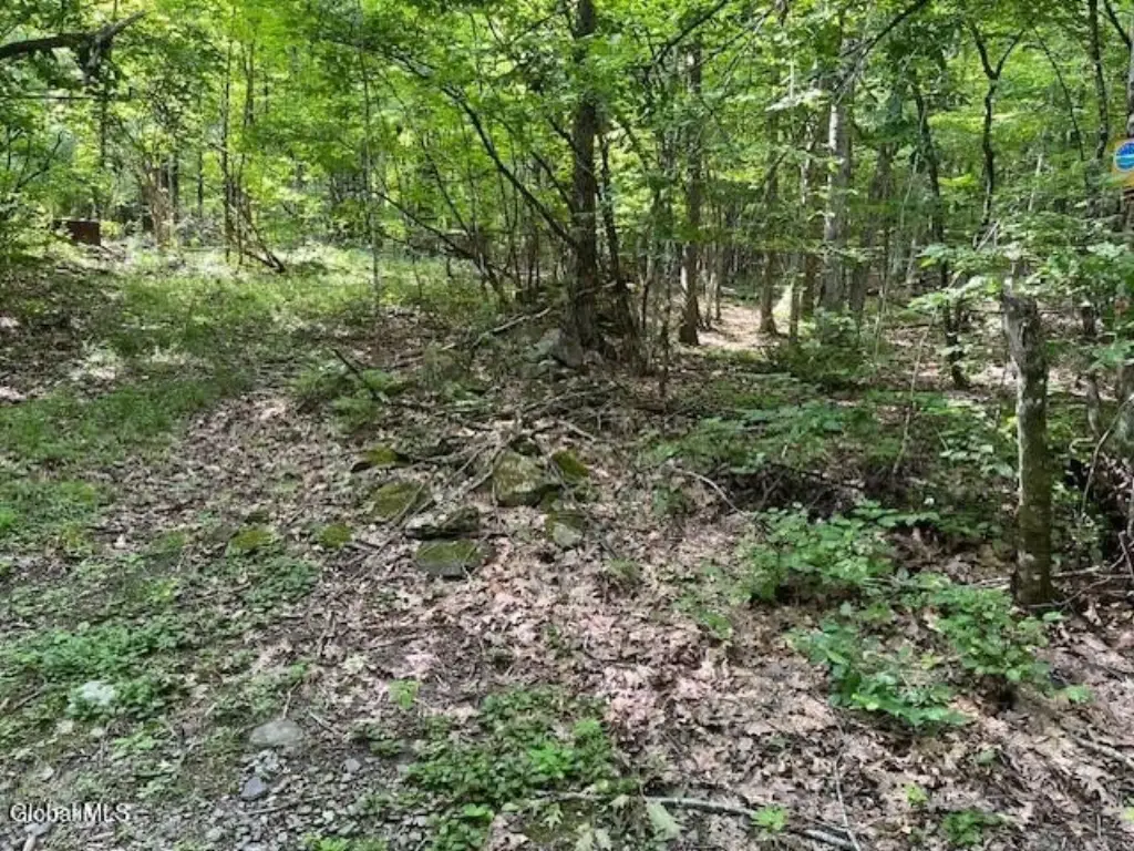Picture 3