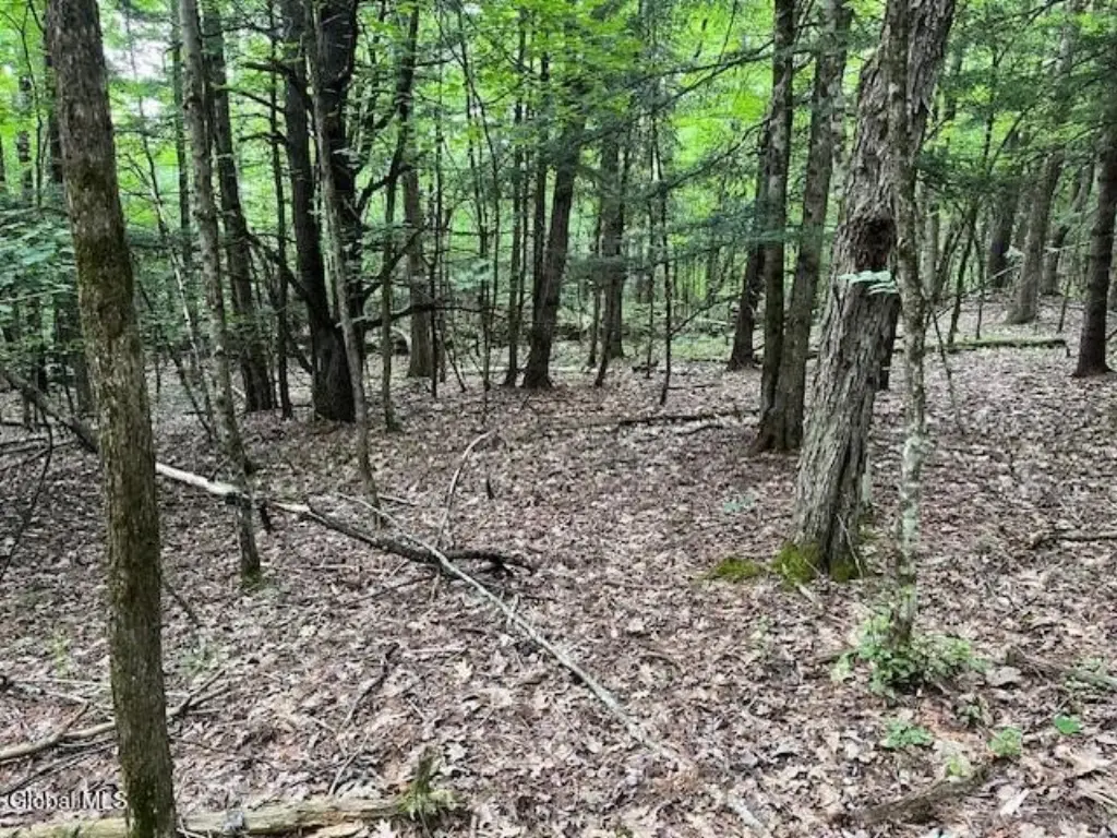 Picture 10