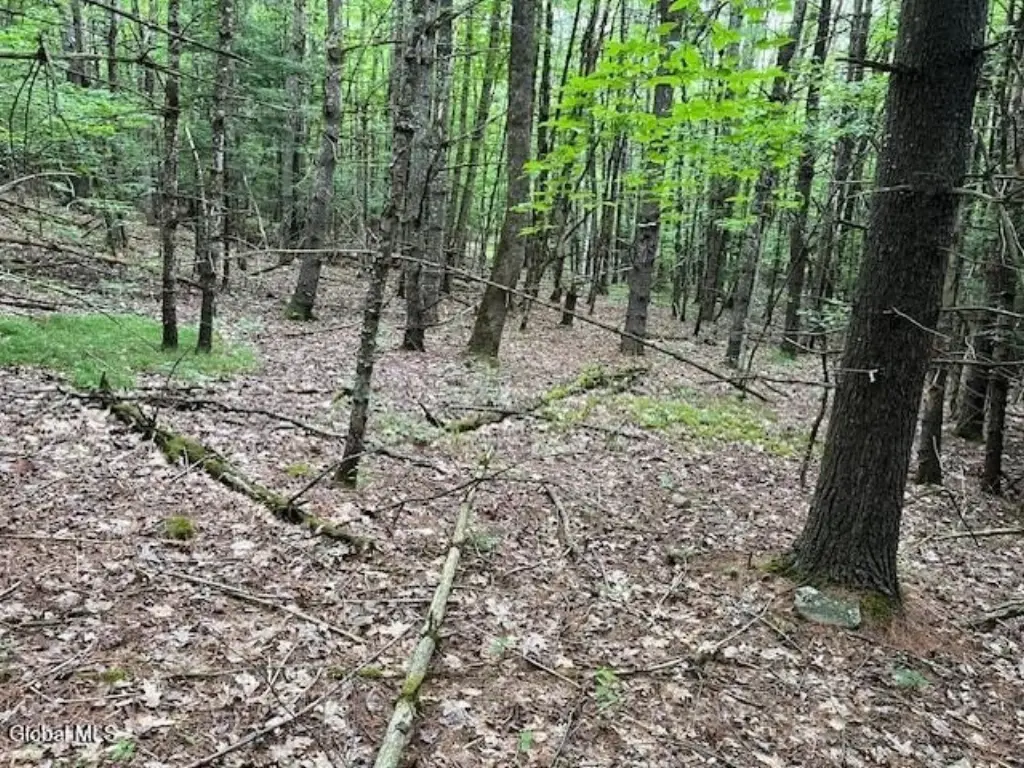 Picture 15