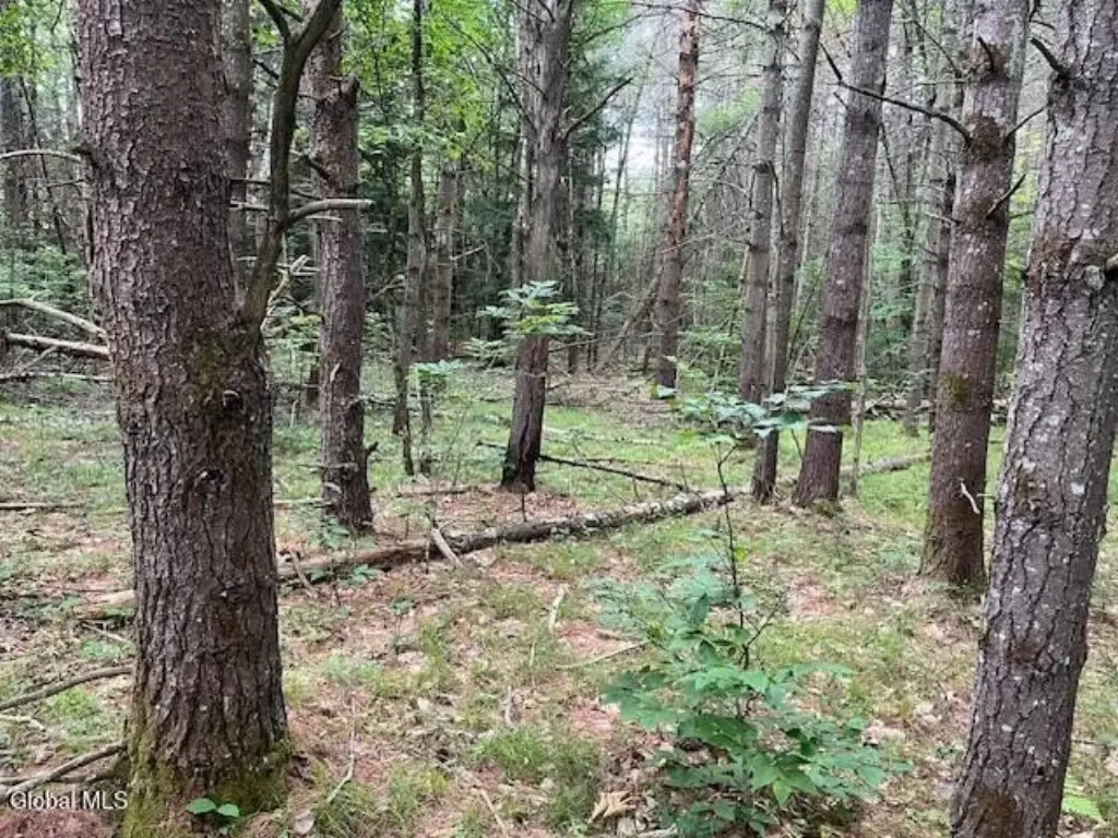 Picture 19