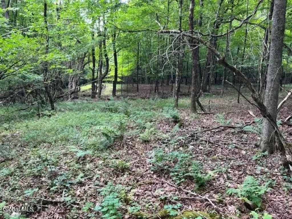 Picture 6