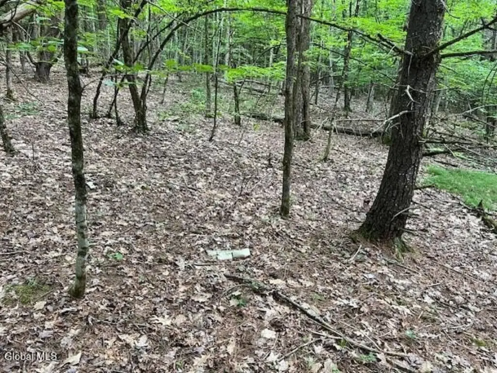 Picture 14