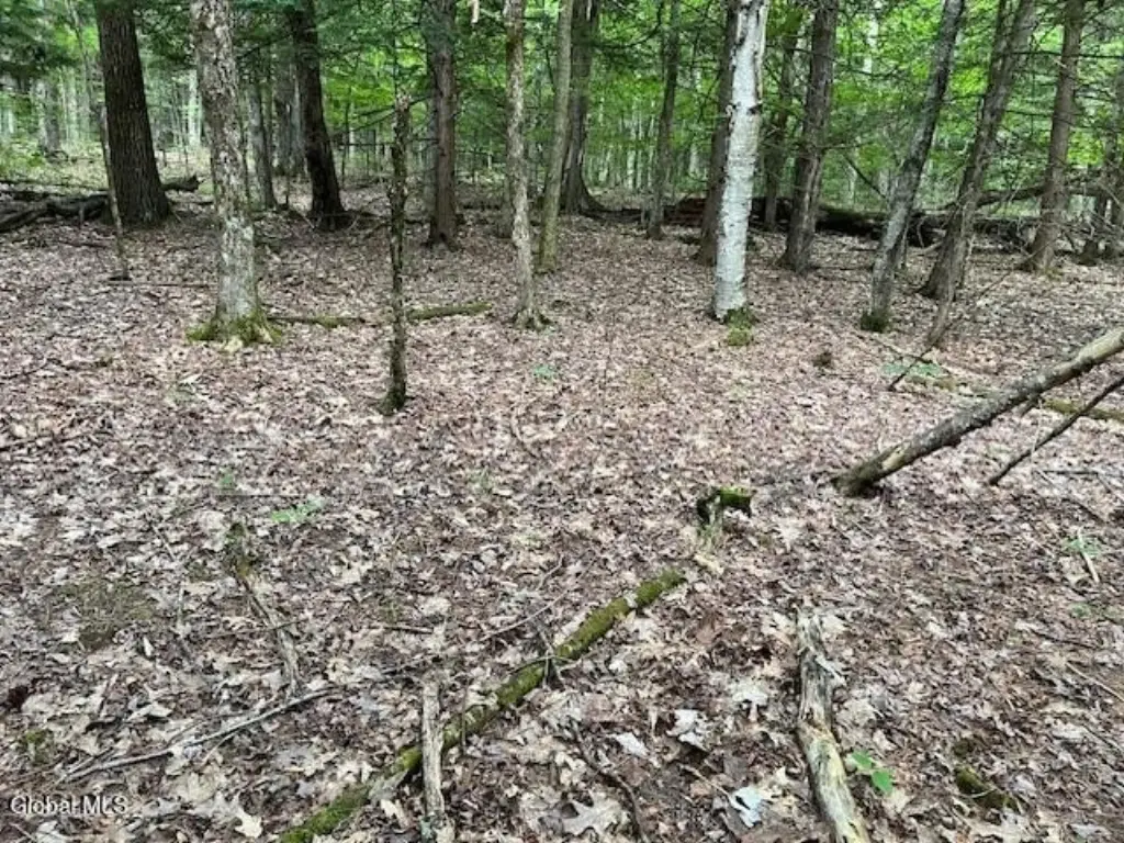 Picture 13