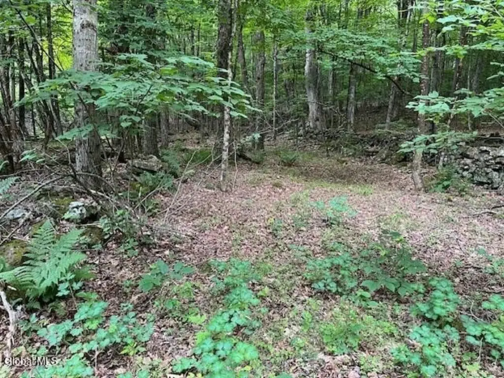 Picture 5