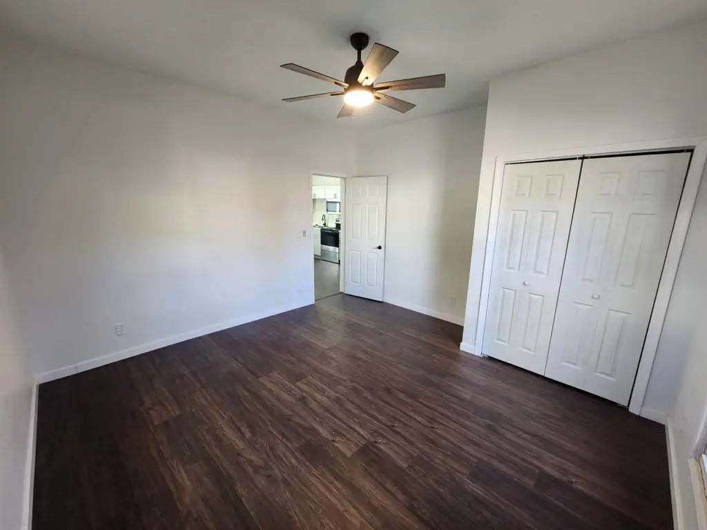 Picture 5