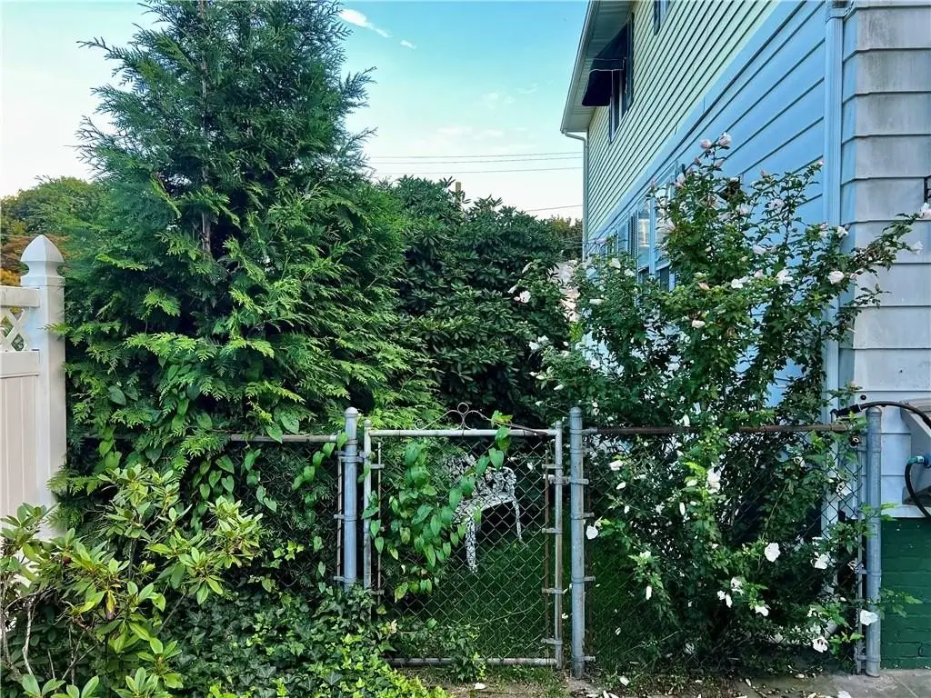 Picture 8