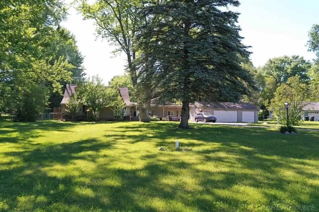 Picture 6