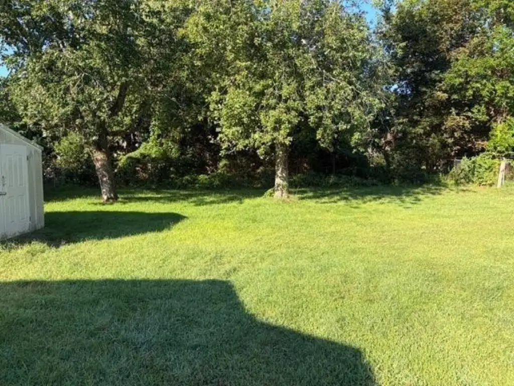 Picture 6