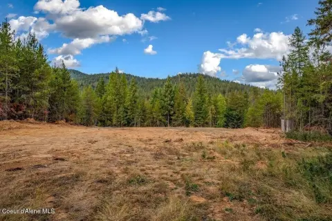 Land in Peaceful Rural Setting