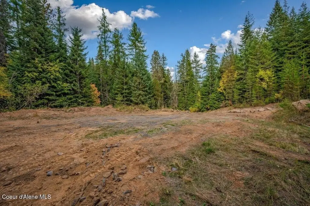 Picture 19