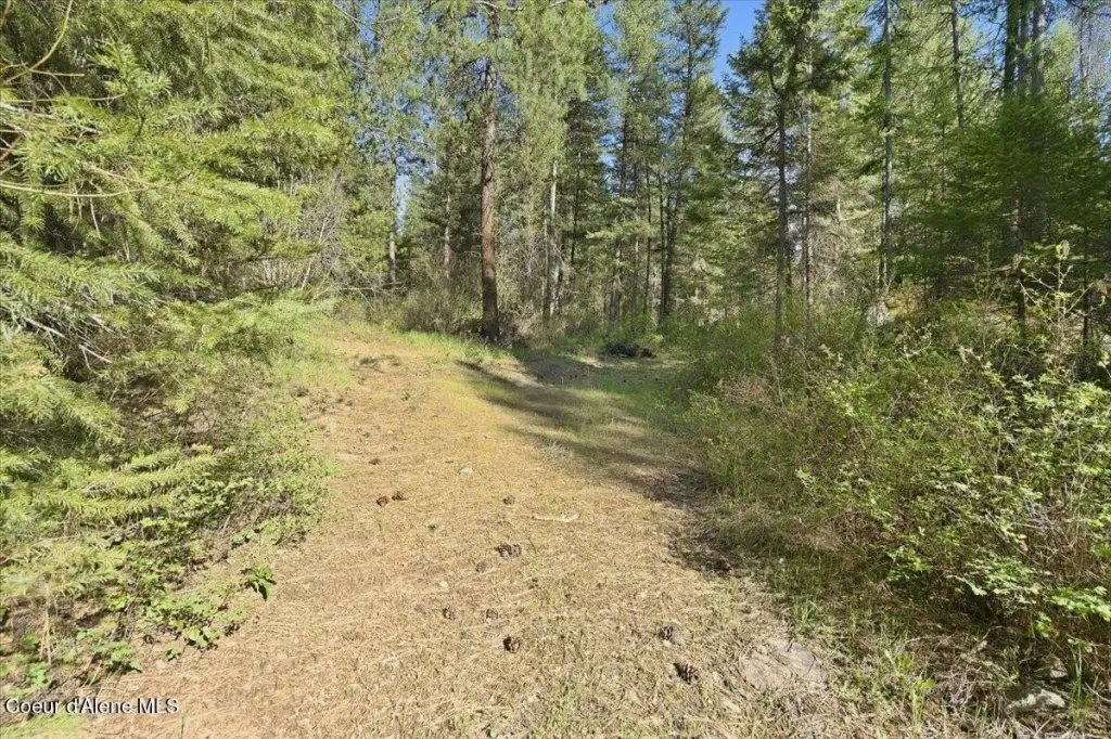 Picture 7