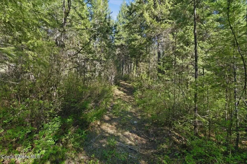 Picture 12