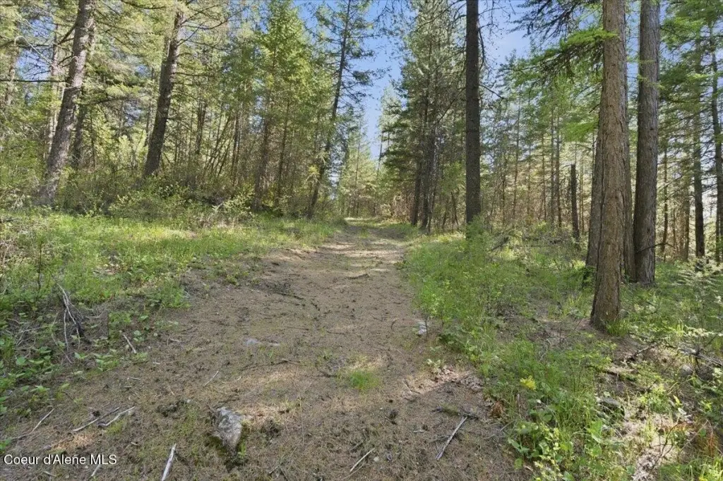 Picture 8
