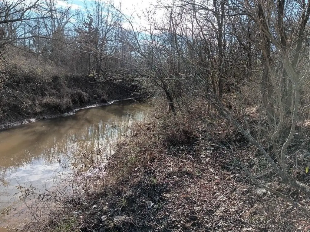 Picture 14