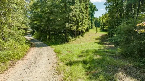 82 Acres of Natural Bounty