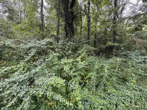 Residential Land Lot in Columbia