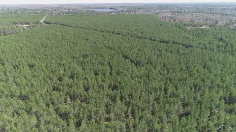 Vacant Land Near Gwinn, MI