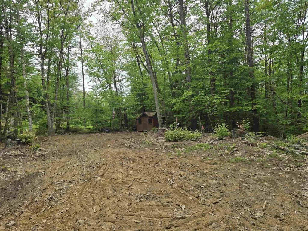 Picture 12