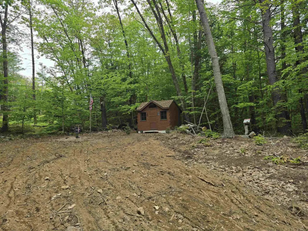Picture 6