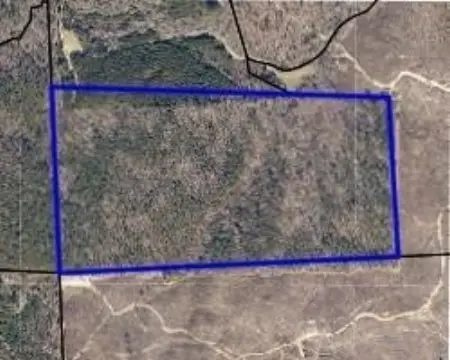 80 Acres Hunting Land with Timber