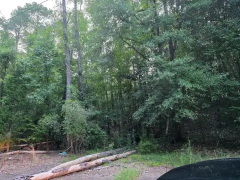 Residential Land in Georgetown, GA
