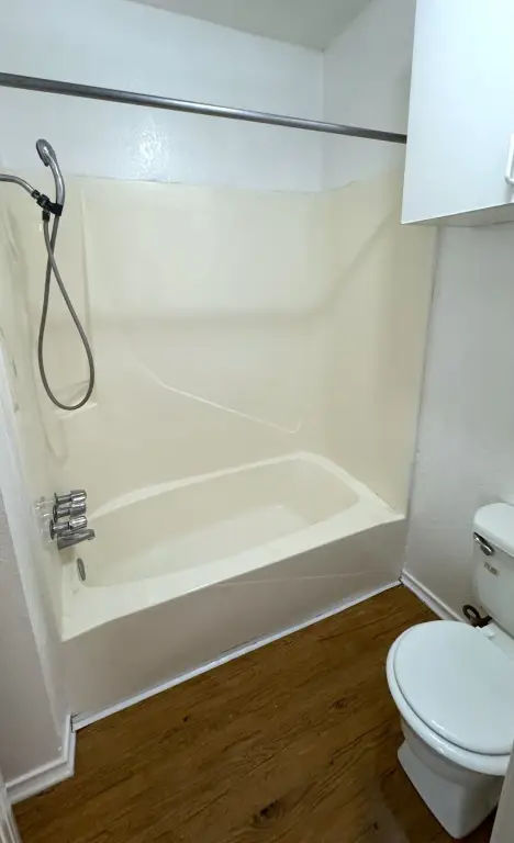 Picture 11