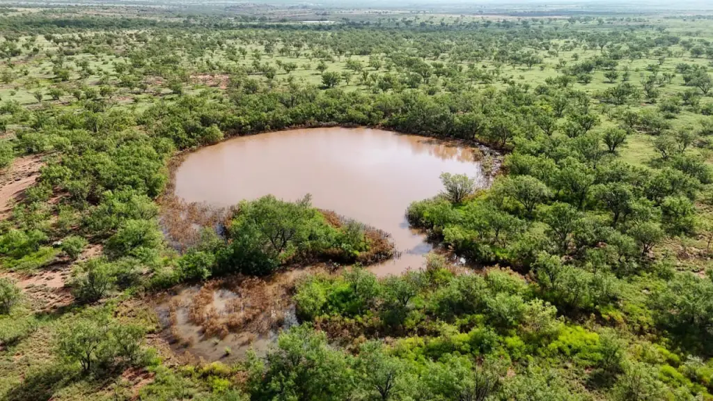 Picture 50