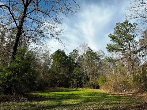 Land For Sale in Purvis