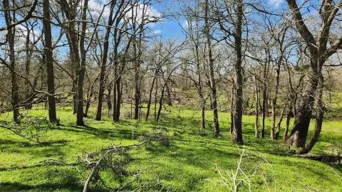 Unrestricted Land Near Houston