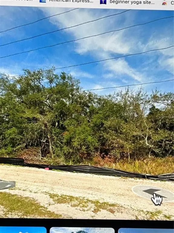 Picture 3