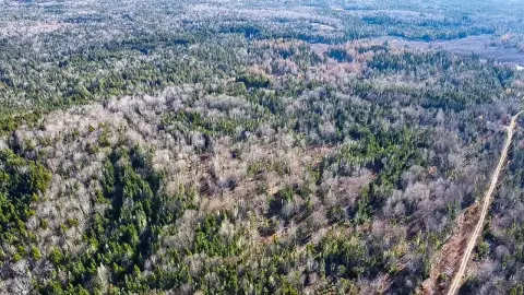 81.5 Acre Land Parcel