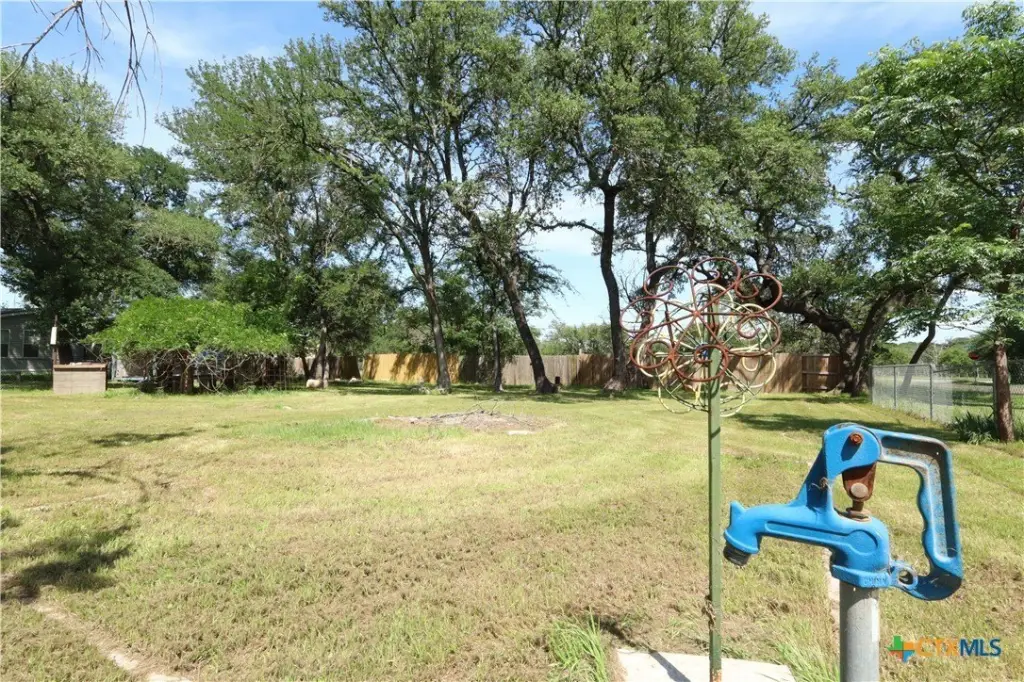 Picture 23